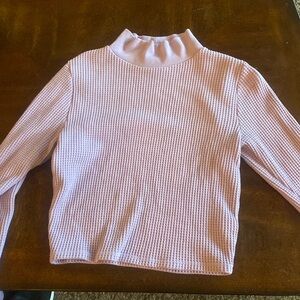 cropped aerie turtle neck